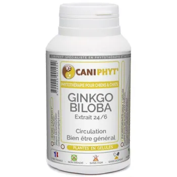 Ginkgo Biloba Caniphyt - Chiens/Chats