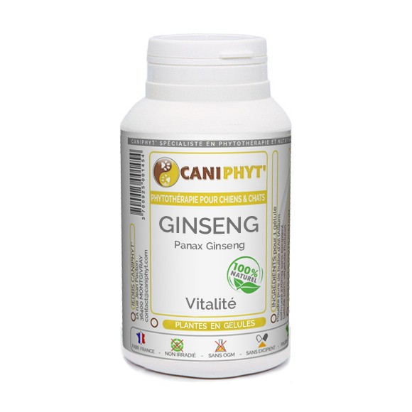 Ginseng Caniphyt - Chiens/Chats