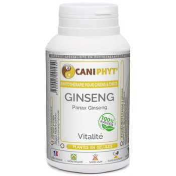 Ginseng Caniphyt - Chiens/Chats