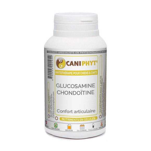 Glucosamine Chondroïtine Caniphyt - Chiens/Chats