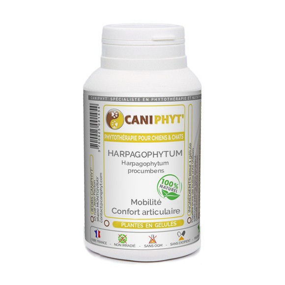 Harpagophytum Caniphyt - Chiens/Chats