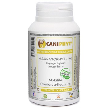 Harpagophytum Caniphyt - Chiens/Chats