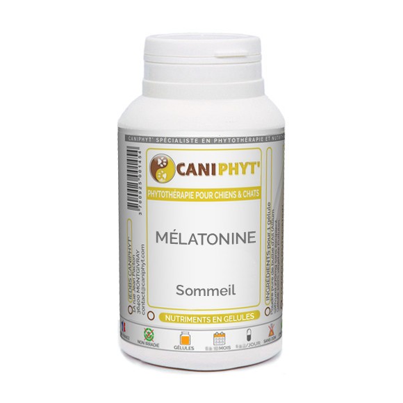 Mélatonine Caniphyt Chiens Chats