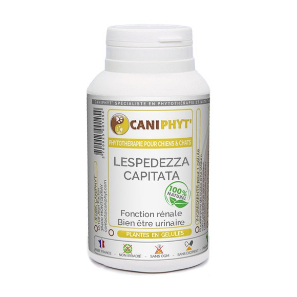 Lespedeza Chien Chat CANIPHYT