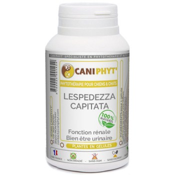 Lespedeza Chien Chat CANIPHYT