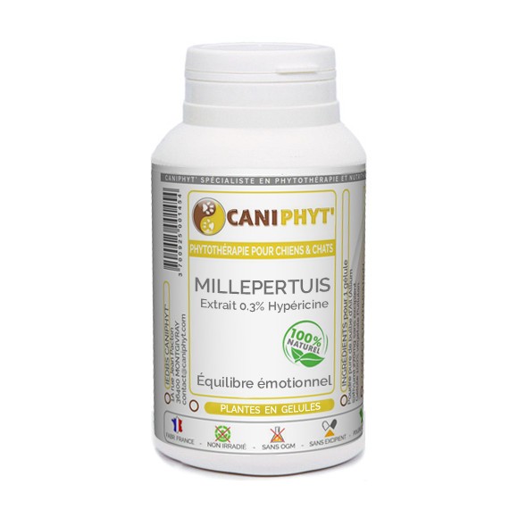 Millepertuis  Caniphyt Chiens Chats