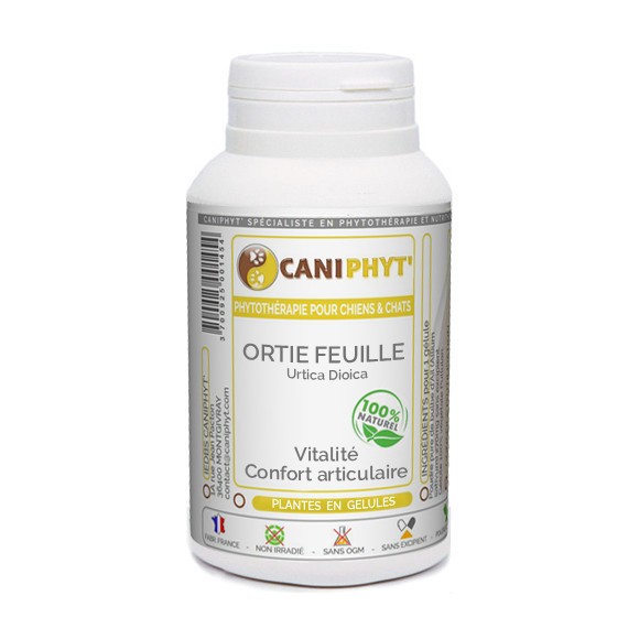 Ortie feuille Caniphyt Chiens Chats