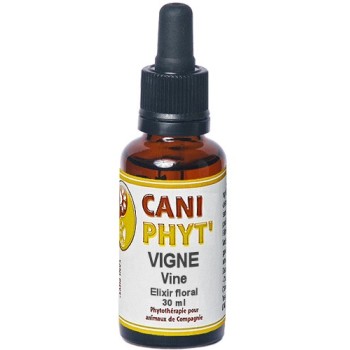 Vigne Caniphyt - Fleurs de Bach