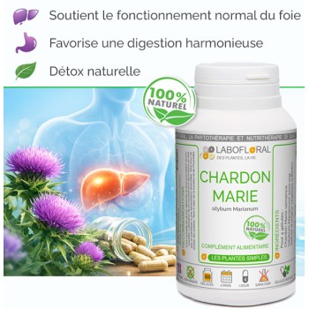 Chardon Marie Labofloral bienfaits