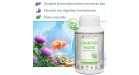 Chardon Marie Labofloral bienfaits