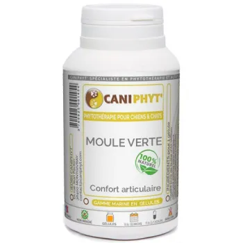 Moule verte en gélules et poudre Caniphyt