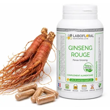 Ginseng Rouge Labofloral et tubercule