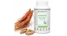 Ginseng Rouge Labofloral et tubercule
