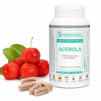 Acérola Synervital fruit