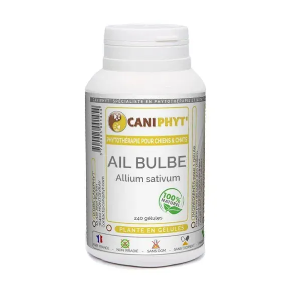 Ail bulbe - Caniphyt chiens et chats