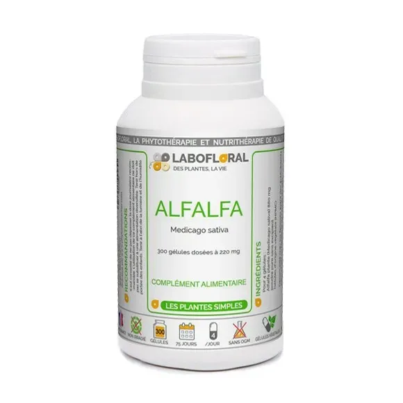 Alfalfa Labofloral