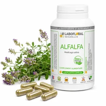Alfalfa Labofloral gélules