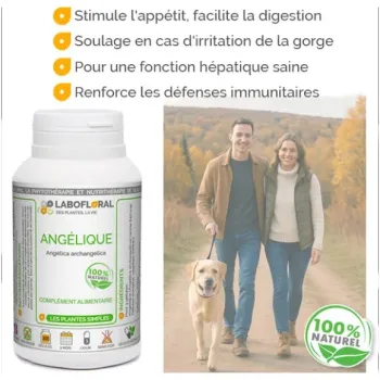 Angélique racine Labofloral - Bienfaits
