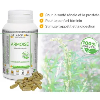 Armoise Labofloral - Bienfaits