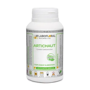 Artichaut Labofloral