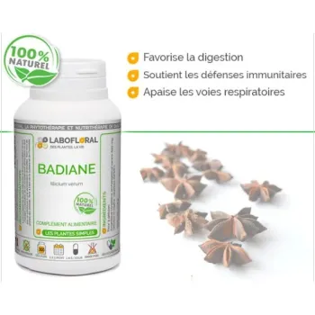 Badiane de Chine Labofloral - Bienfaits