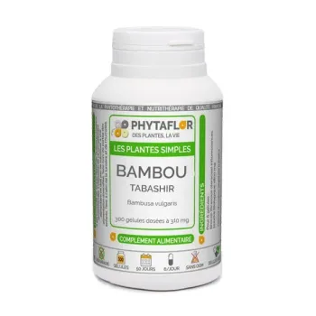Bambou Phytaflor