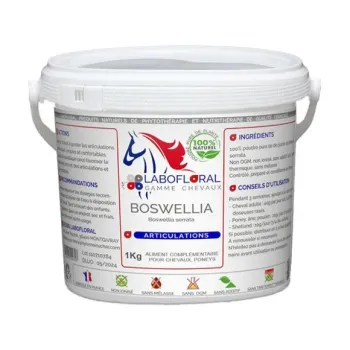 Boswellia Labofloral - Chevaux