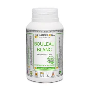 Bouleau Blanc Labofloral
