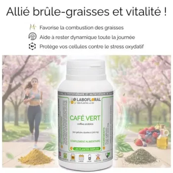 Café Vert Labofloral - Bienfaits