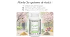 Café Vert Labofloral - Bienfaits
