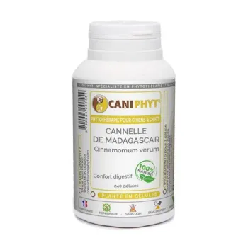 Cannelle Caniphyt - Chiens/Chats