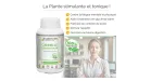 Cannelle de Madagascar Labofloral - Bienfaits