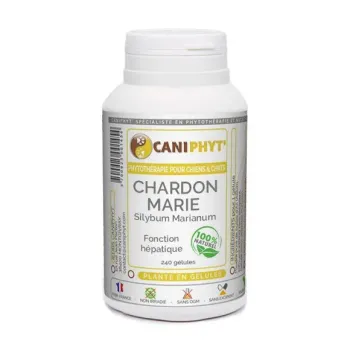 Chardon Marie Caniphyt - Chiens/Chats