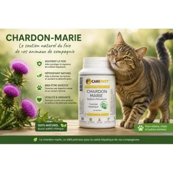 Chardon Marie Caniphyt - Chiens/Chats