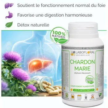 Chardon Marie Labofloral - Bienfaits