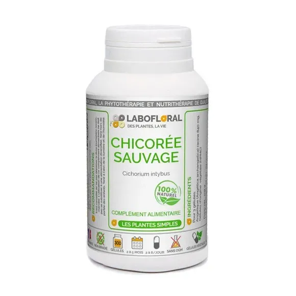 Chicorée sauvage  Labofloral