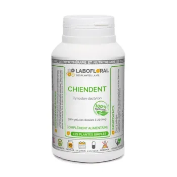 Chiendent Labofloral