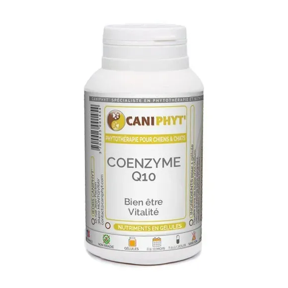 Coenzyme Q10 Caniphyt - Chiens/Chats