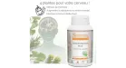 Concentration Plus Synervital - Bienfaits