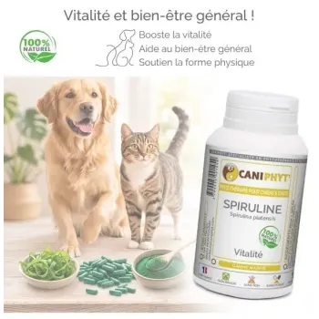 Spiruline Caniphyt - Chiens/Chats bienfaits