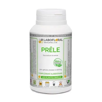Prêle labofloral