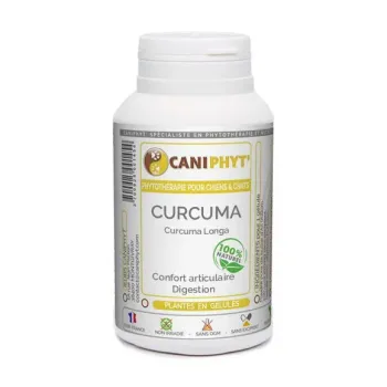 Curcuma Caniphyt - Chiens/Chats