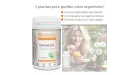 Draineur Synervital - Bienfaits