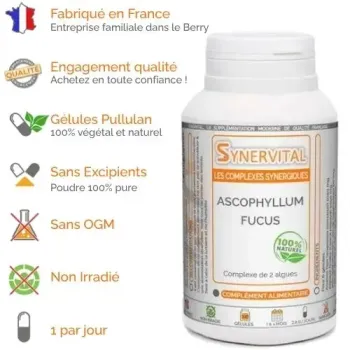 Ascophyllum Fucus Synervital avantages