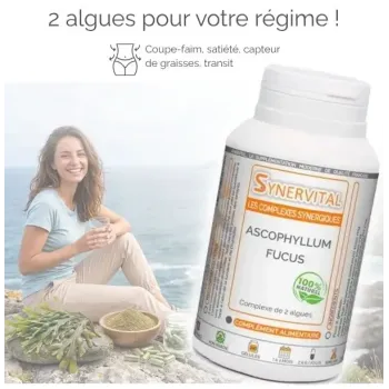Ascophyllum Fucus Synervital bienfaits