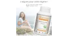 Ascophyllum Fucus Synervital bienfaits