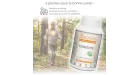 Longévité Synervital bienfaits